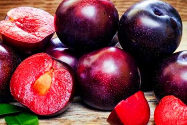 李子有点苦能吃吗(李子有点苦能吃吗)