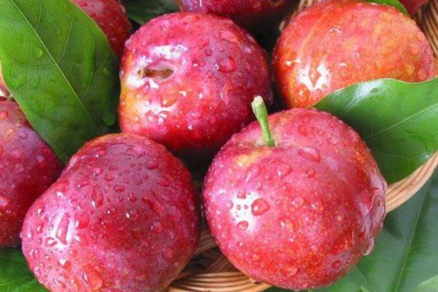 空腹能吃李子吗(空腹能吃李子吗 早晨)