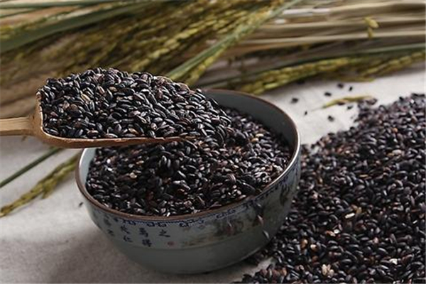 黑米怎么容易煮烂(黑米怎样煮容易烂)