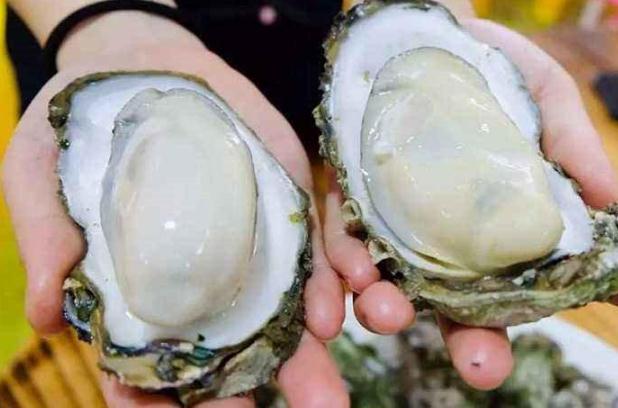 生蚝生吃好还是熟吃好(生蚝生吃好还是熟吃好?)