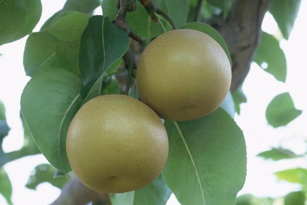 产品好用吗(ggacc祛痘产品好用吗)