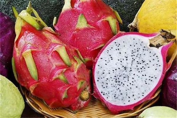 火龙果怎么保存(火龙果怎么保存能放时间长一点) 火龙果怎么保存(火龙果怎么保存能放时间长一点)
