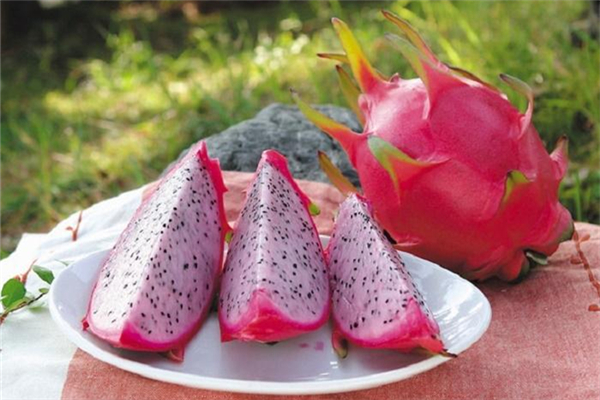 火龙果升糖厉害吗(火龙果升糖快吗)