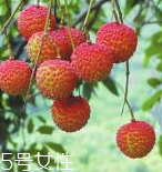 荔枝能和牛奶一起吃吗(荔枝能和牛奶一起吃吗?)