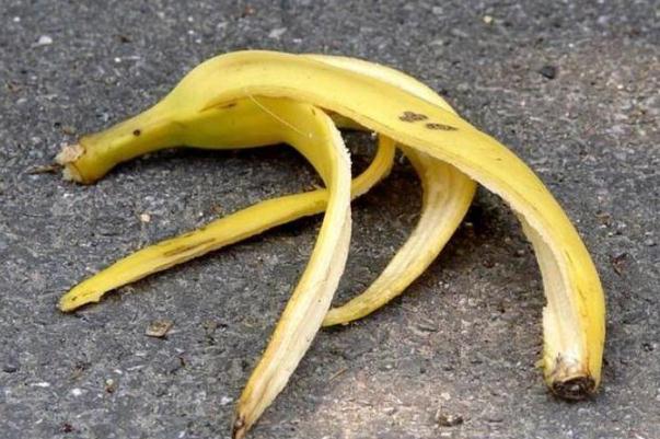 香蕉皮有药用价值吗(香蕉皮有药用价值吗)