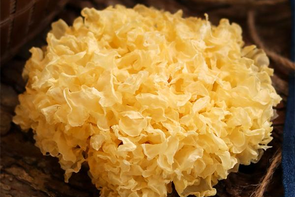 银耳属于凉性还是热性(银耳属于凉性还是热性例假期间能吃吗) 银耳属于凉性还是热性(银耳属于凉性还是热性例假期间能吃吗)