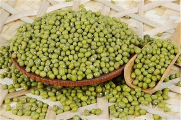绿豆有什么营养(绿豆有什么营养和功效) 绿豆有什么营养(绿豆有什么营养和功效)