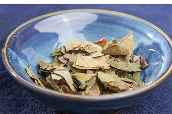 枇杷叶能和茶叶一起泡吗(枇杷花可以和茶叶一起泡吗)