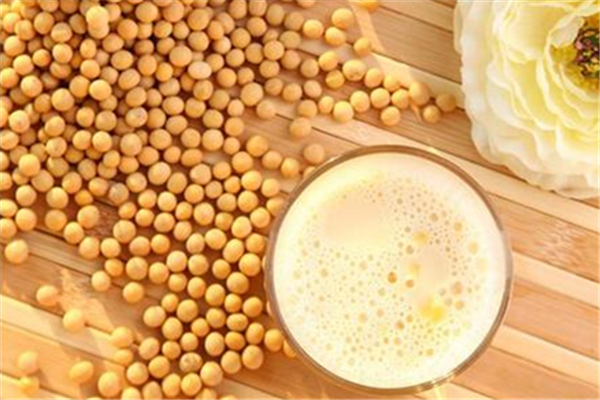 豆奶一天喝多少(豆奶一天喝多少比较好)