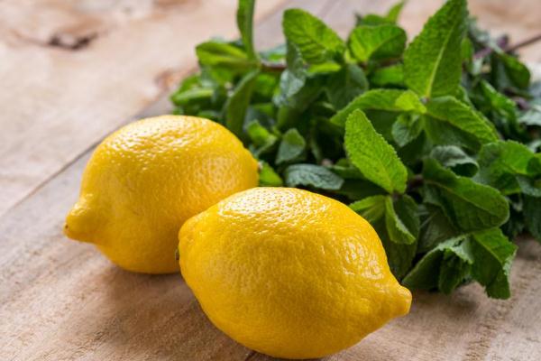 吃柠檬可以晒太阳吗(吃柠檬可以晒太阳吗) 吃柠檬可以晒太阳吗(吃柠檬可以晒太阳吗)