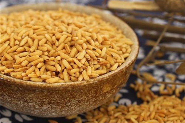 米茶怎么吃最好(米茶怎么吃最好)