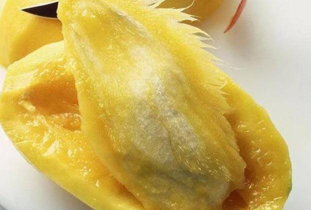 芒果核药用价值(芒果核药用价值) 芒果核药用价值(芒果核药用价值)