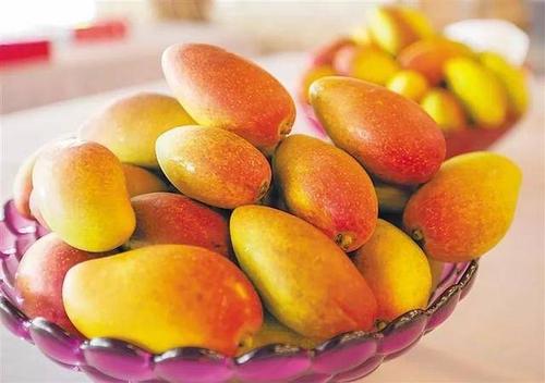 芒果皮可以生吃吗(芒果皮可以生吃吗)