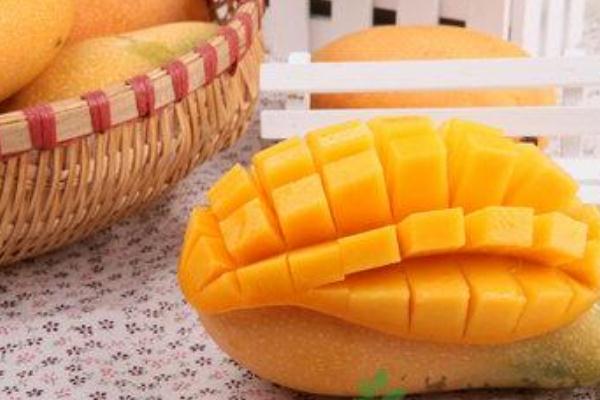 芒果可以空腹吃吗(胃不好芒果可以吃吗)