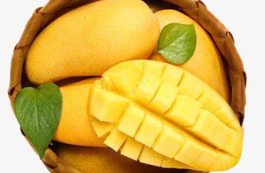 芒果有点生放在阳台可以吗(芒果有点生放在阳台可以吗)