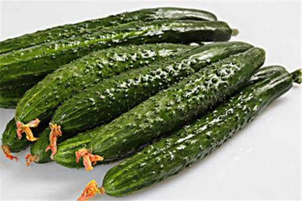 黄瓜为什么发苦(黄瓜发苦能吃吗) 黄瓜为什么发苦(黄瓜发苦能吃吗)