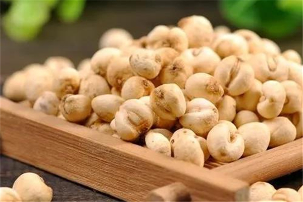 川贝什么人不能吃(川贝什么人不能吃)