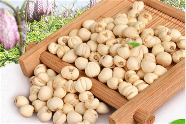 川贝是苦的好还是不苦的好(川贝是苦好还是不苦好)