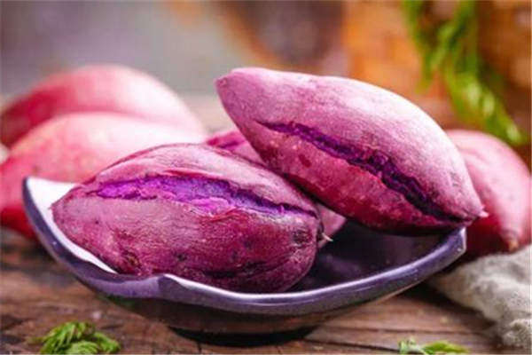 紫薯怎么保存不容易坏(紫薯怎么保存不容易坏)
