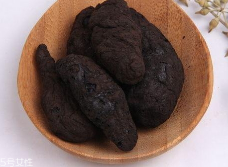 生地怎么种植(生地怎么种植)