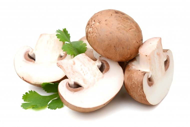 新鲜蘑菇怎么洗(新鲜蘑菇怎么洗才干净) 新鲜蘑菇怎么洗(新鲜蘑菇怎么洗才干净)