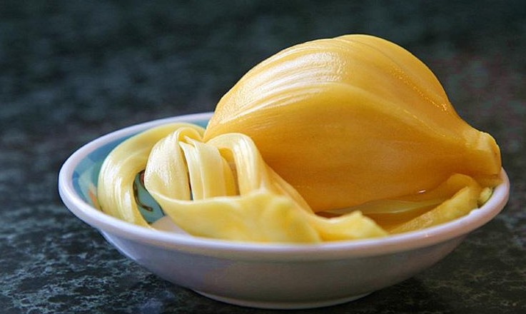 菠萝蜜核的食用方法(菠萝蜜核的食用方法)