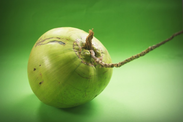 椰子的品种大全:(椰子品种) 椰子的品种大全:(椰子品种)