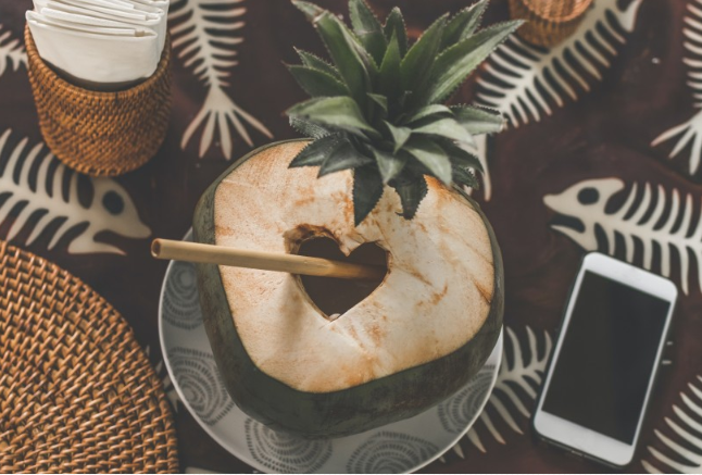 椰子肉的吃法(椰子肉的吃法有哪些)