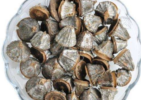 一口盅的用法用量(一口盅的用法用量)