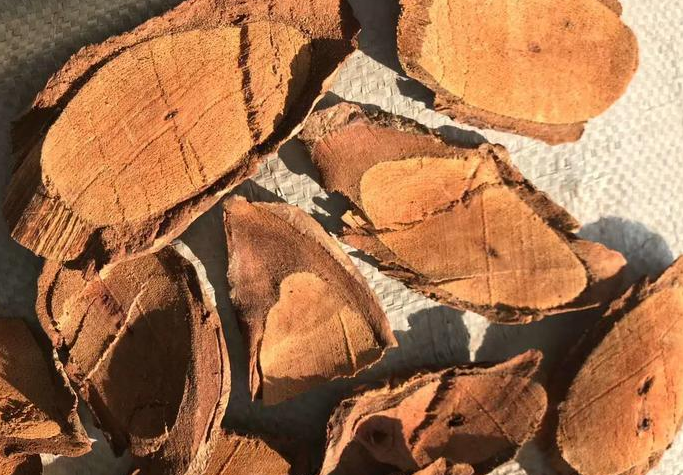 滇鸡血藤的作用(滇鸡血藤的作用和功效) 滇鸡血藤的作用(滇鸡血藤的作用和功效)