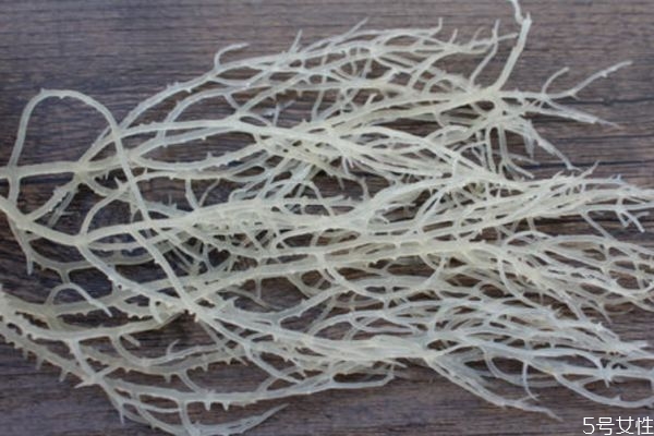 鹿角菜怎么泡发(鹿角菜怎么泡发) 鹿角菜怎么泡发(鹿角菜怎么泡发)