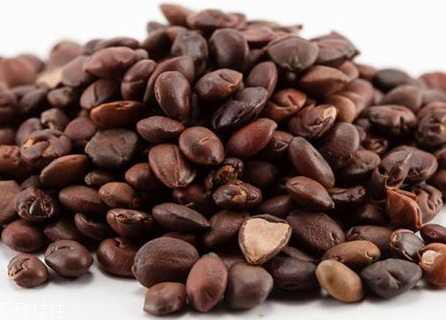 酸枣仁是酸性还是碱性(酸枣仁是酸性还是碱性食物)