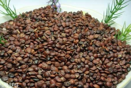 柏子仁的功效(柏子仁的功效和作用)