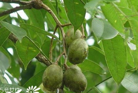 车仔面和乌冬面的区别(车仔面和乌冬面的区别)