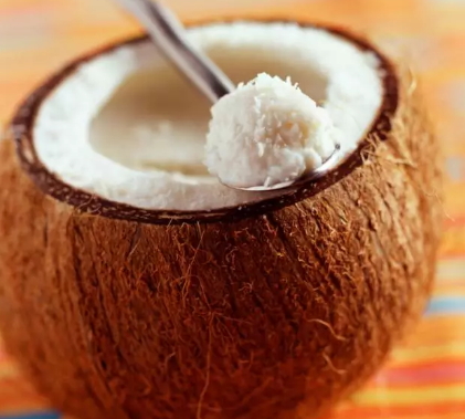 椰子冻好吃吗(椰子冻怎么做成的)