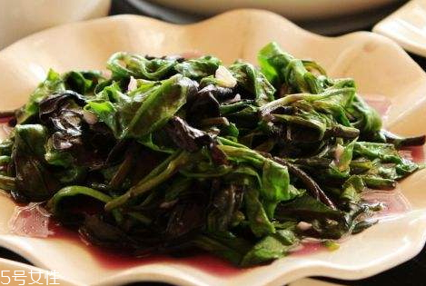 观音菜什么人不能吃(观音菜什么人不能吃)