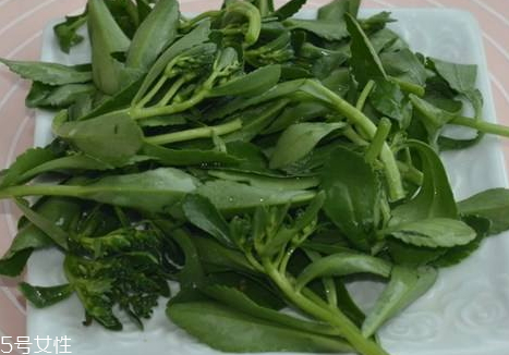 冰粉的做法(冰粉的做法和配方)