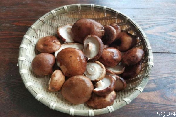 香菇怎么做好吃(香菇怎么做好吃又简单)