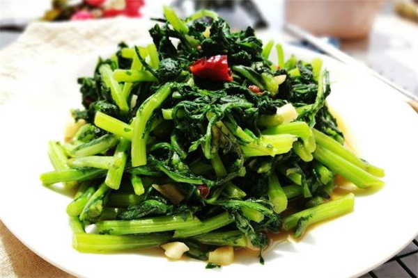 菊花菜在哪里能买到(菊花哪里有卖)