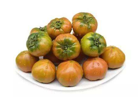 草莓柿子怎么种植(草莓柿子怎么种植)