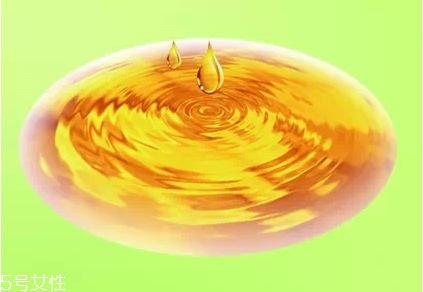 翅果油为什么贵(翅果油的价格是多少)