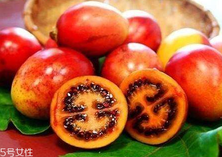 树番茄的生长条件(树番茄种植)