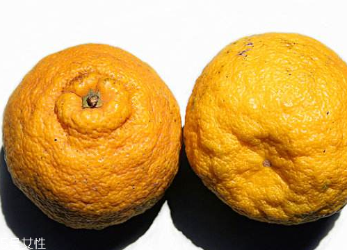 臭皮柑酱的做法(臭皮柑酱的制作方法)