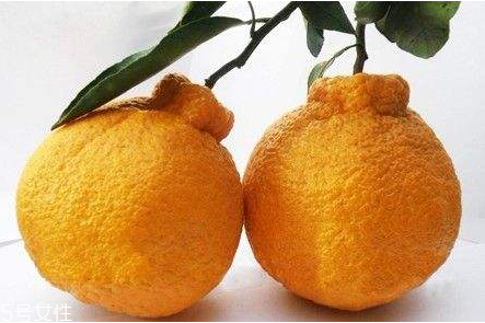 吃丑柑的好处(吃丑柑的好处)