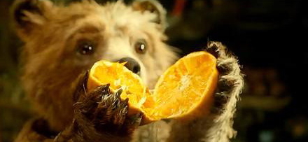 伦晚脐橙真假辨别(伦晚脐橙产地在哪里)