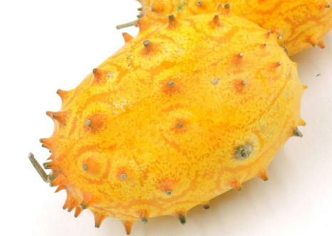 春饼皮怎么做(春卷皮如何做?)