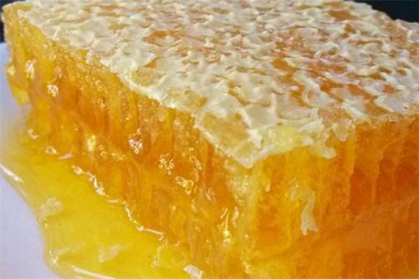 吃蜂胶有哪些好处(蜂胶的作用和功效)