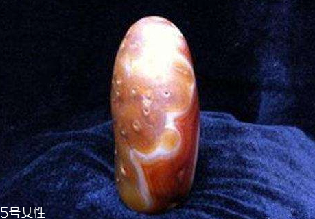 驴宝的药用价值(驴宝的药用价值和价格) 驴宝的药用价值(驴宝的药用价值和价格)