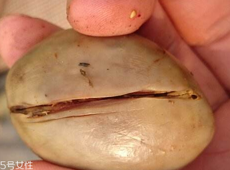 麻团怎么炸才能变大(麻团怎么炸才能变大不裂)