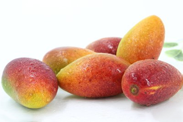 贵妃芒几月份最好吃(贵妃芒好吃吗)